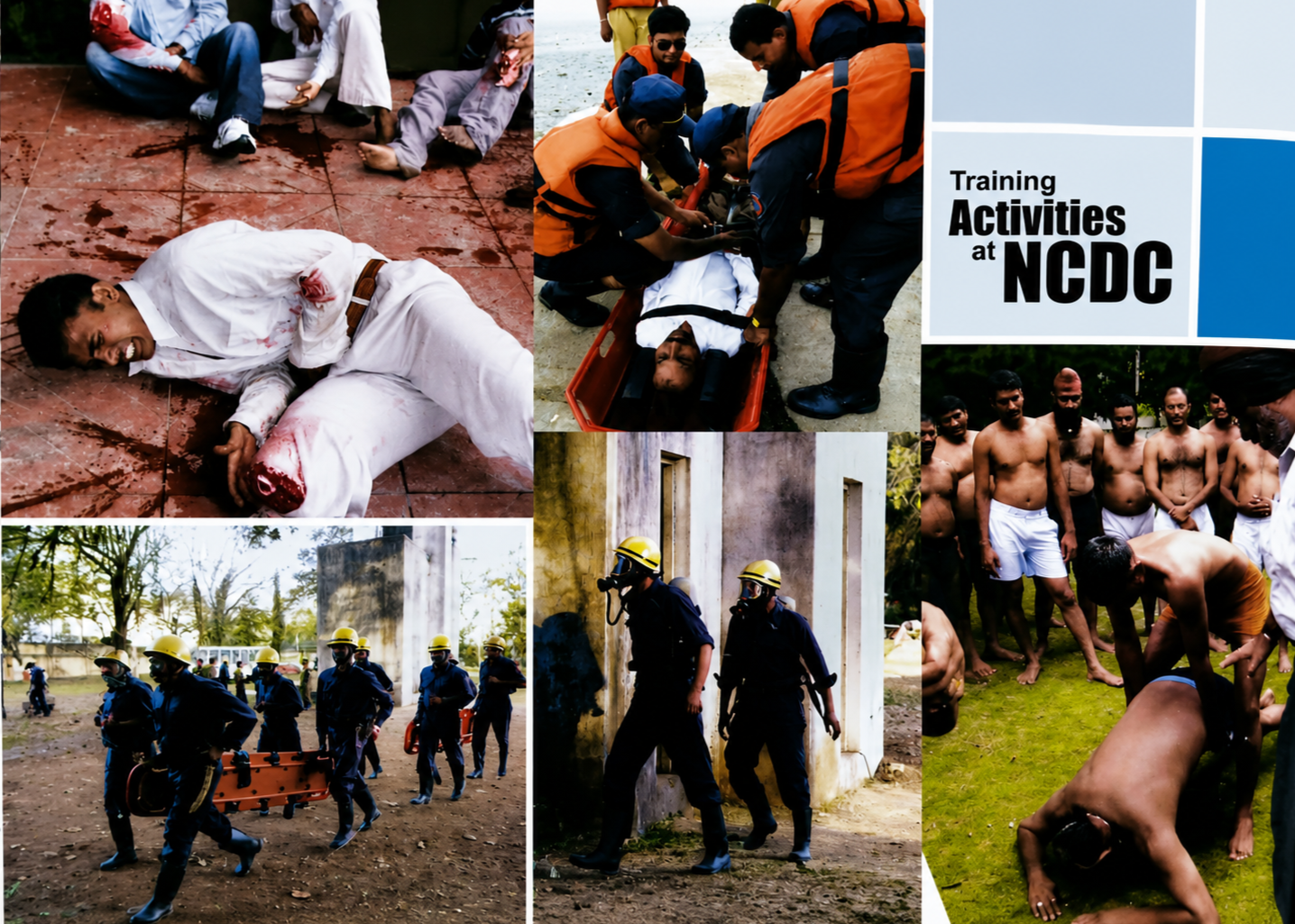 NCDC History Archive 4