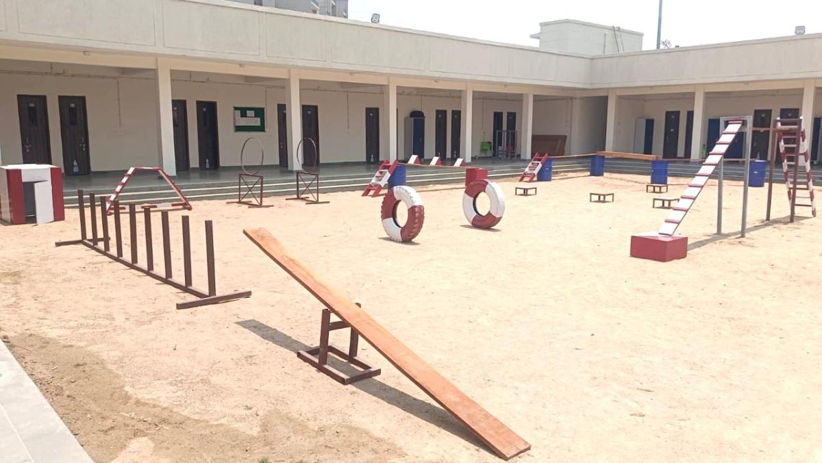 Canine Training Area