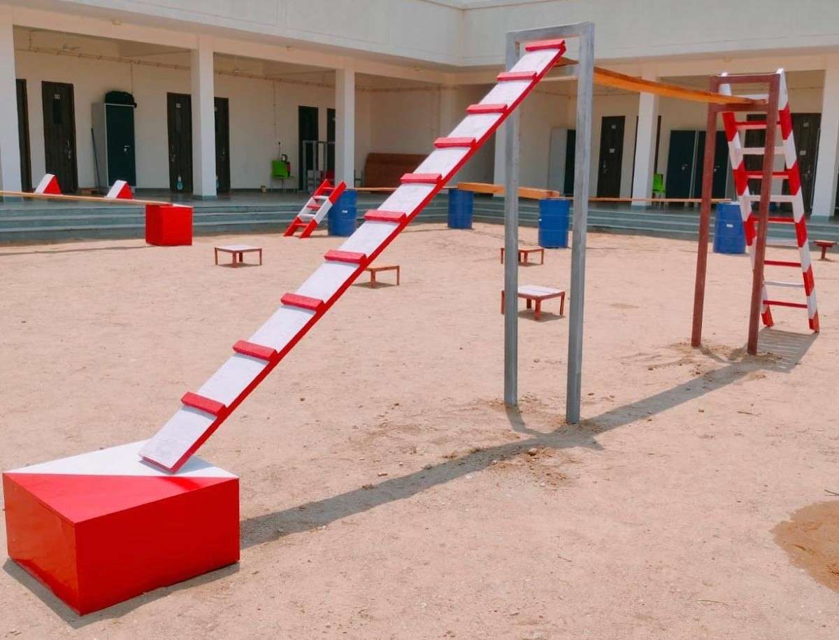 Canine Training Area