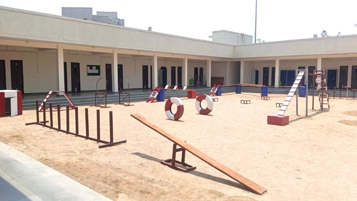 Canine Training Area
