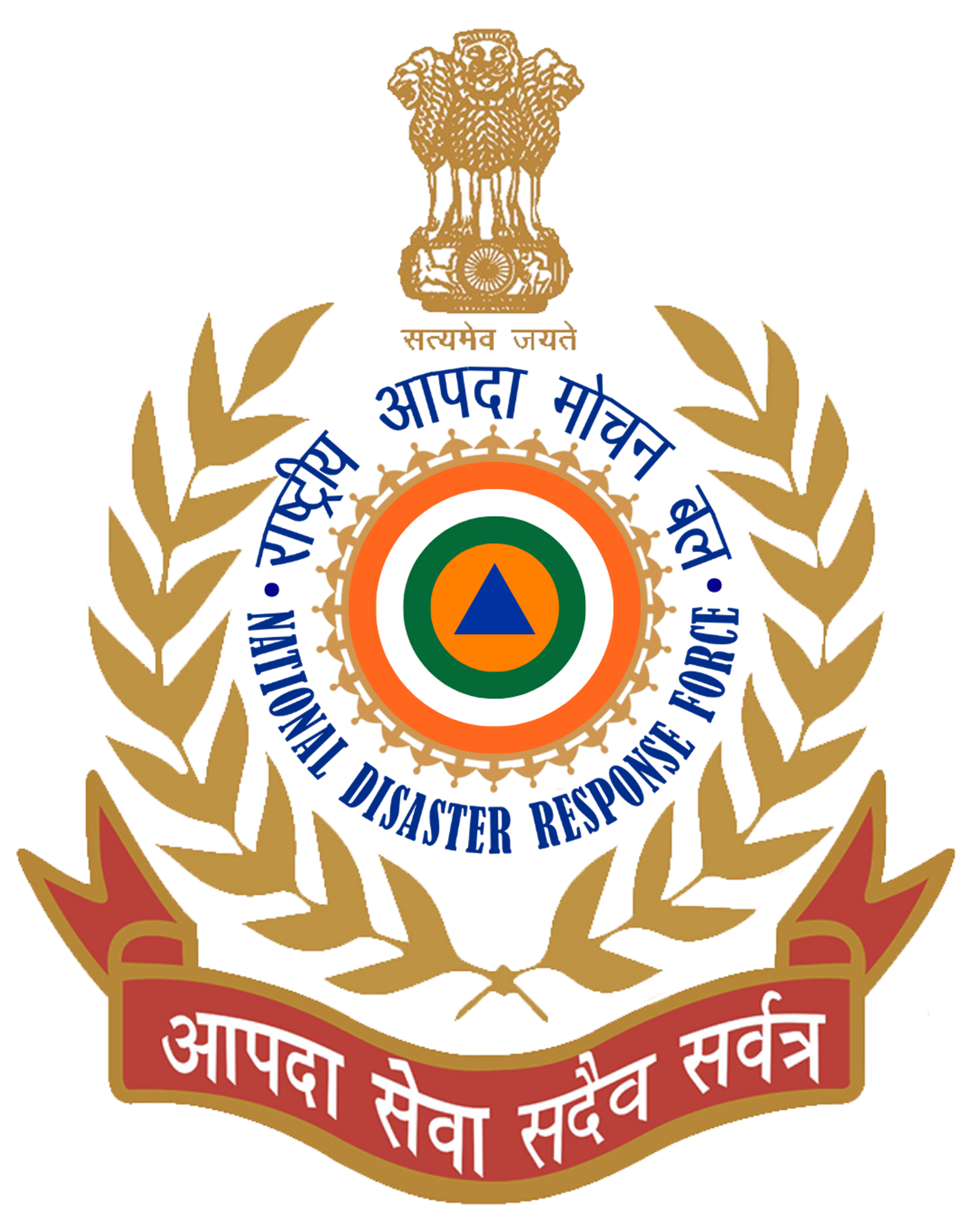 NDRF Academy Logo